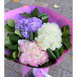 Buchet 3 Hortensia BH8